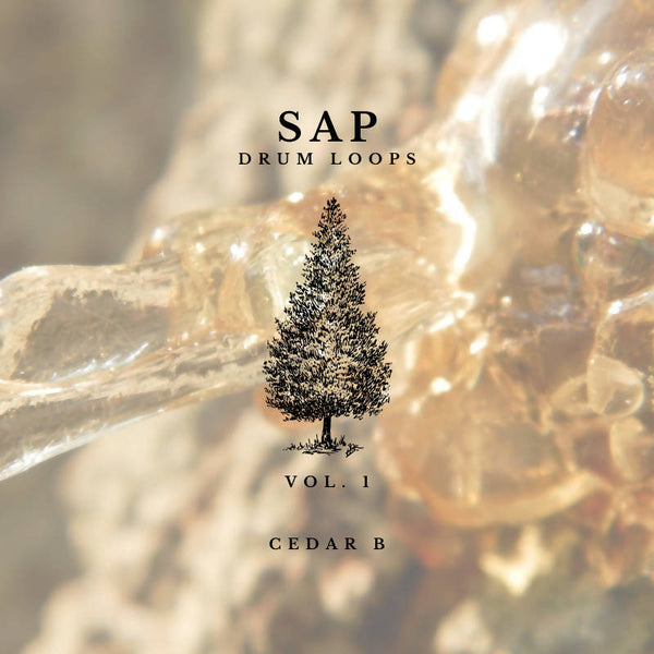 SAP Drum Loops Vol.1